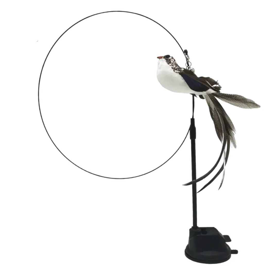 VederVang™- Zwarte-witte Vogel