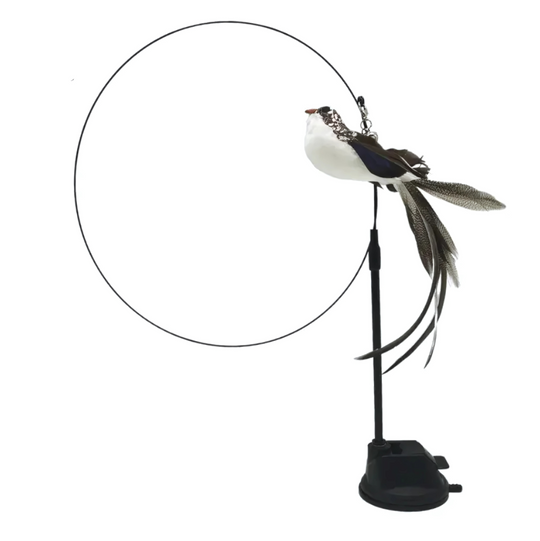 VederVang™- Zwarte-witte Vogel